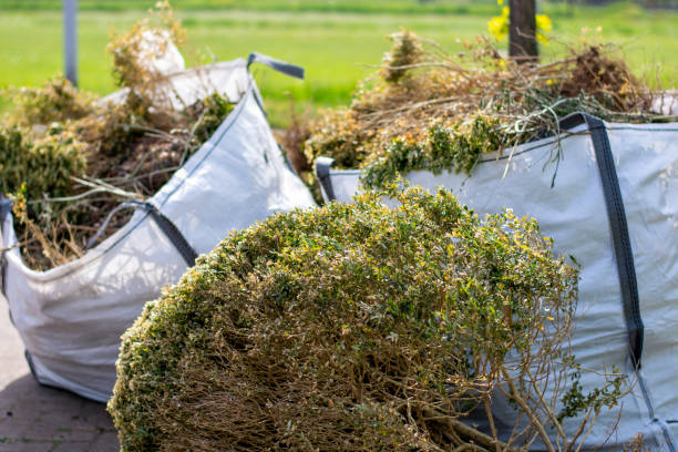 Best Shed Removal  in Olney, TX